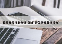 软件开发行业分析（软件开发行业分析报告）